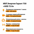ИБП для котла Энергия Гарант 750 + Аккумулятор 75 Ач 12 В (450Вт - 91мин) - ИБП и АКБ - ИБП для котлов - . Магазин оборудования для автономного и резервного электропитания Ekosolar.ru в Самаре